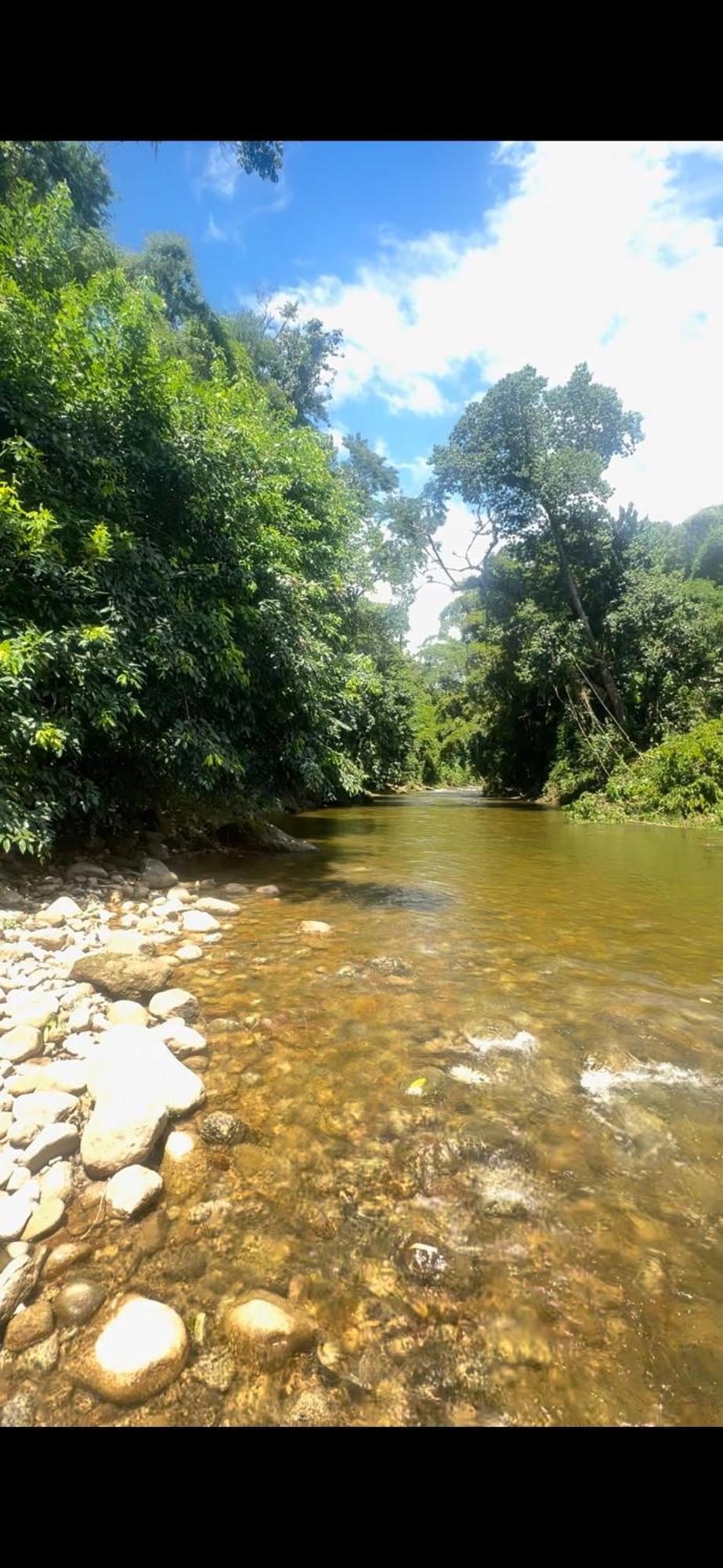 Otima Nota - Rancho Caminho Do Ouro ,Proximo Praias , Ilhas ,Cachoeiras E Centro Historico Парати Екстериор снимка